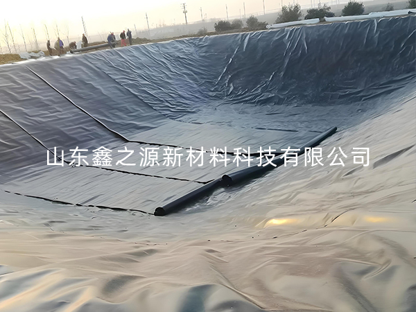 選擇防滲土工膜進行小龍蝦養(yǎng)殖有哪些要點技巧？